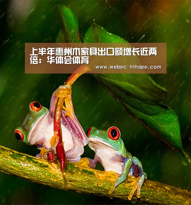 上半年惠州木家具出口额增长近两倍：华体会体育