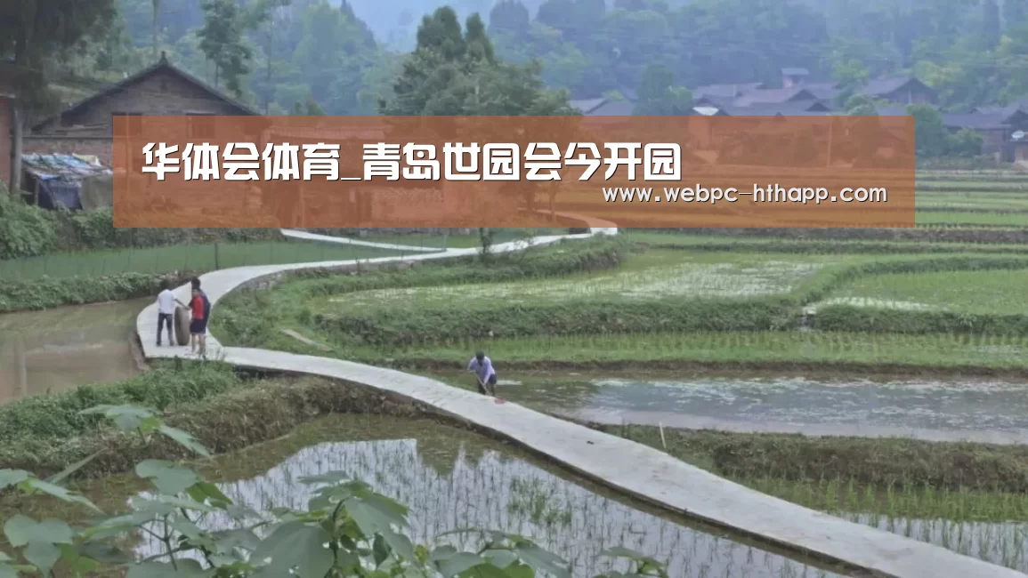 华体会体育