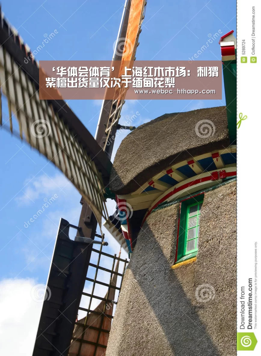 华体会体育